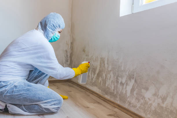 Crawl Space Mold Remediation treatment of floor joists in Manchester